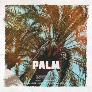 Palm
